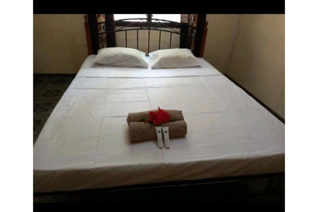 Wai Makare Homestay Soso Buitenkant foto