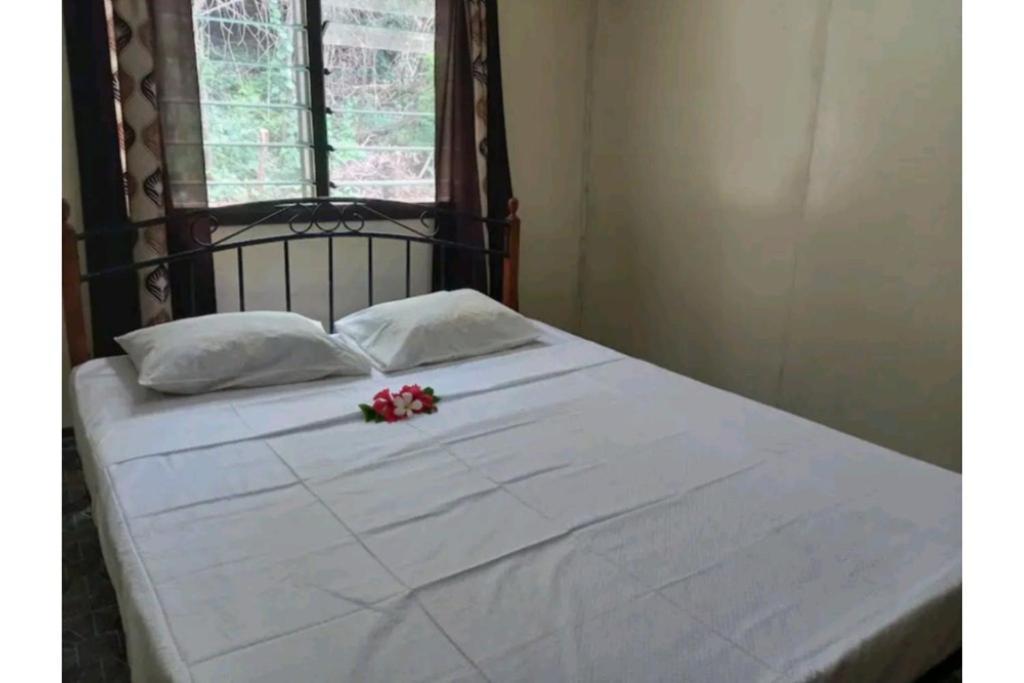 Wai Makare Homestay Soso Buitenkant foto